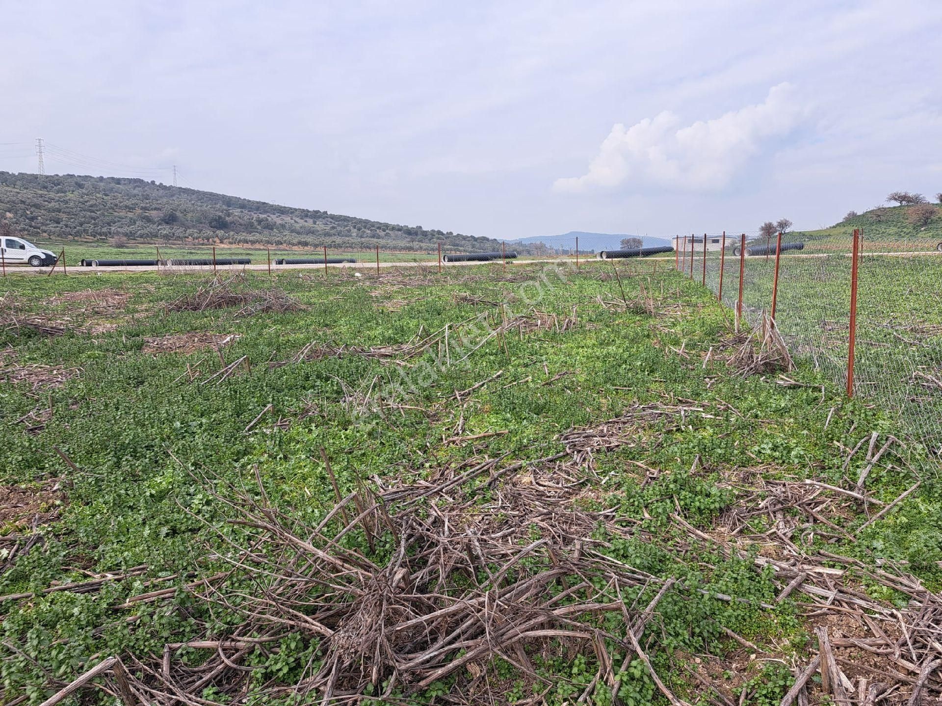 Foça Gerenköyde 883 M2 Bahçe Acil Satılıktır - Görsel 6