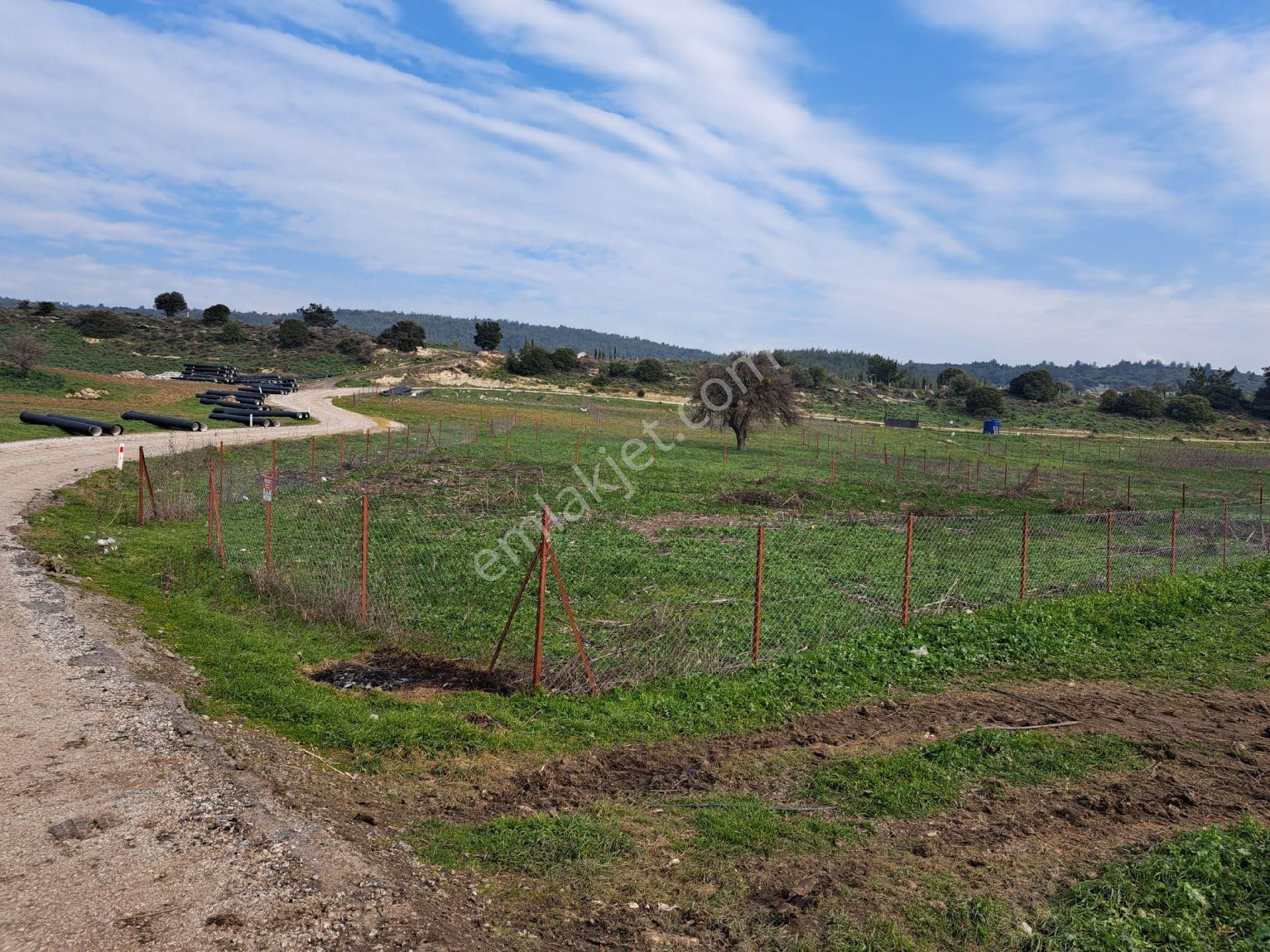 Foça Gerenköyde 883 M2 Bahçe Acil Satılıktır - Görsel 18