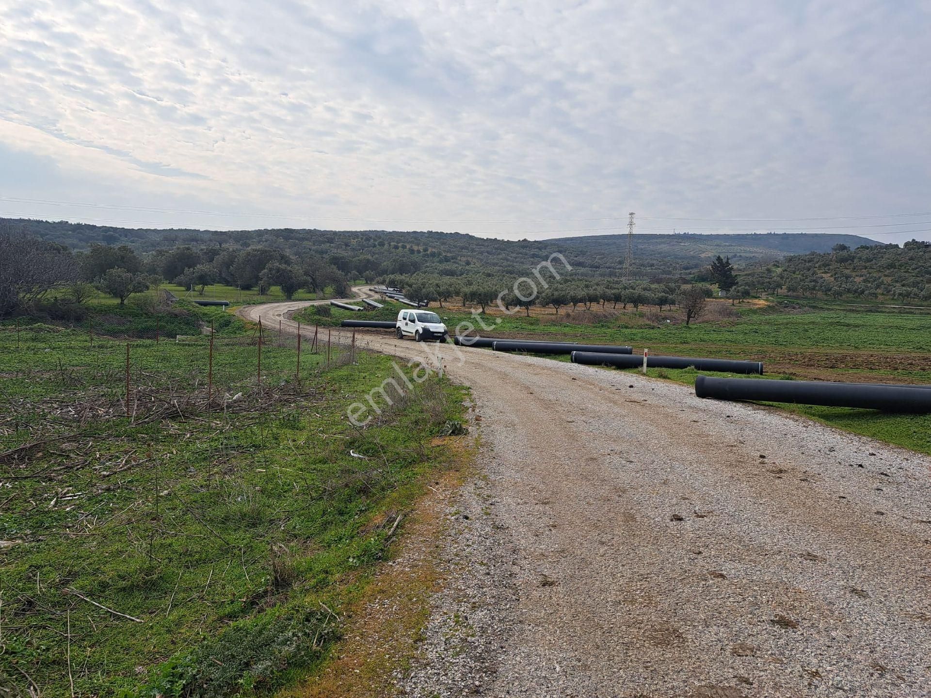 Foça Gerenköyde 883 M2 Bahçe Acil Satılıktır - Görsel 12
