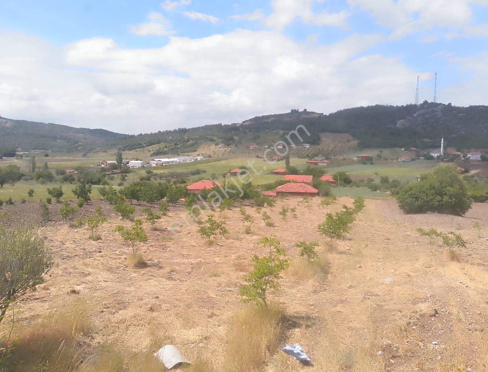 Torbalı Emlak'tan Akhisar Doğankaya'da Doğa Harikası 3190m2 Bahçede 95m2 Müstakil Bağ Evi Satılık - Görsel 13