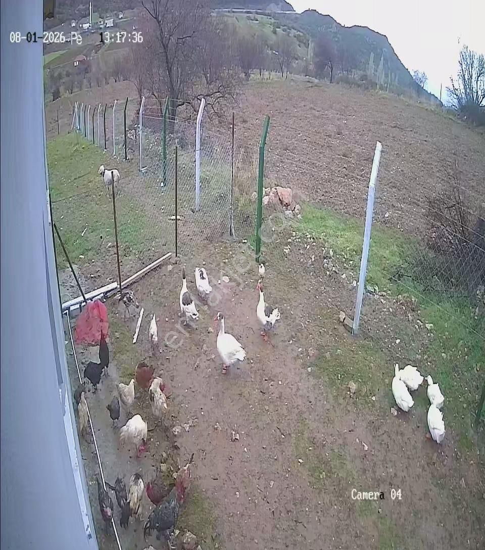 Torbalı Emlak'tan Akhisar Doğankaya'da Doğa Harikası 3190m2 Bahçede 95m2 Müstakil Bağ Evi Satılık - Görsel 18