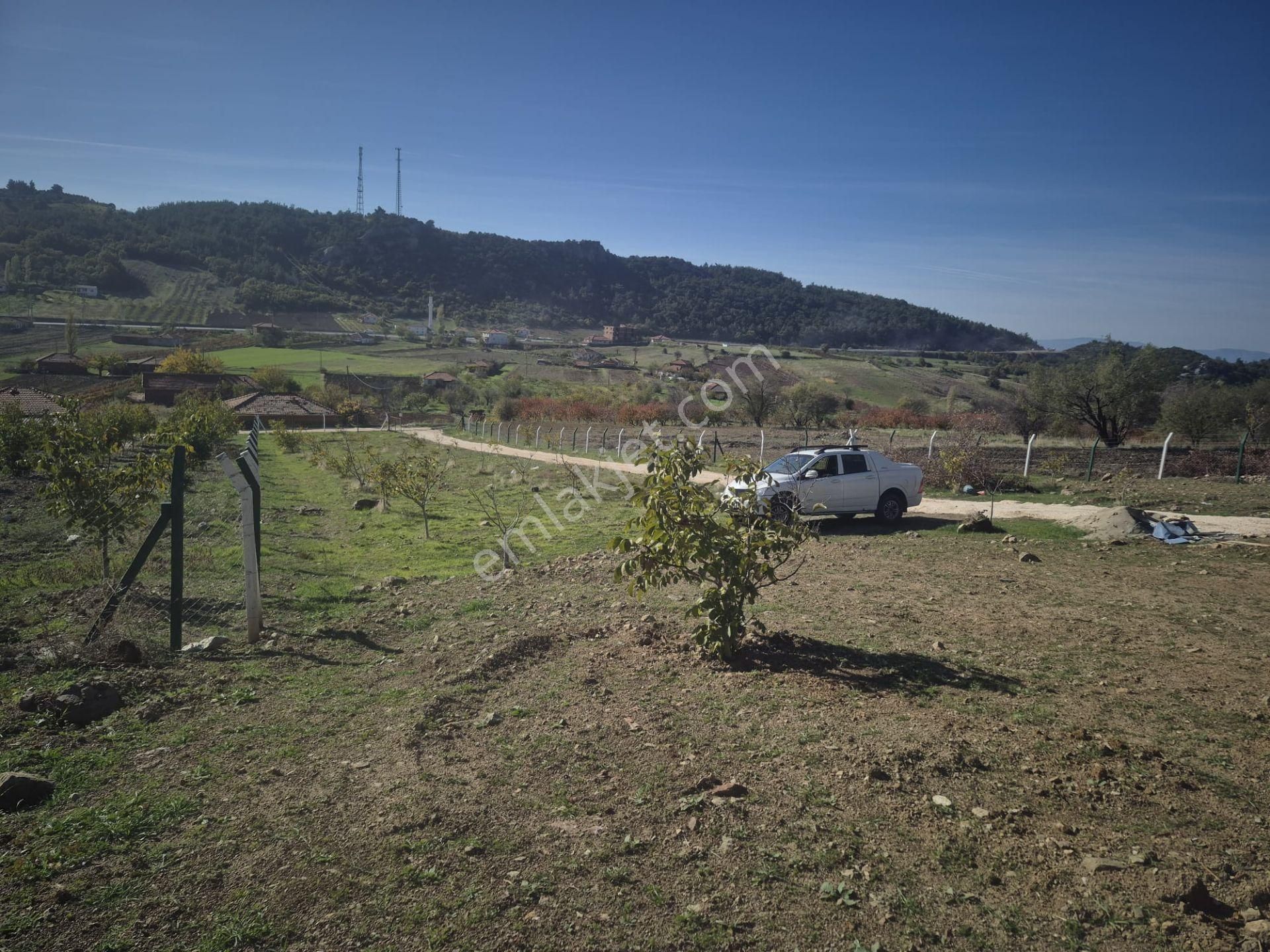 Torbalı Emlak'tan Akhisar Doğankaya'da Doğa Harikası 3190m2 Bahçede 95m2 Müstakil Bağ Evi Satılık - Görsel 19