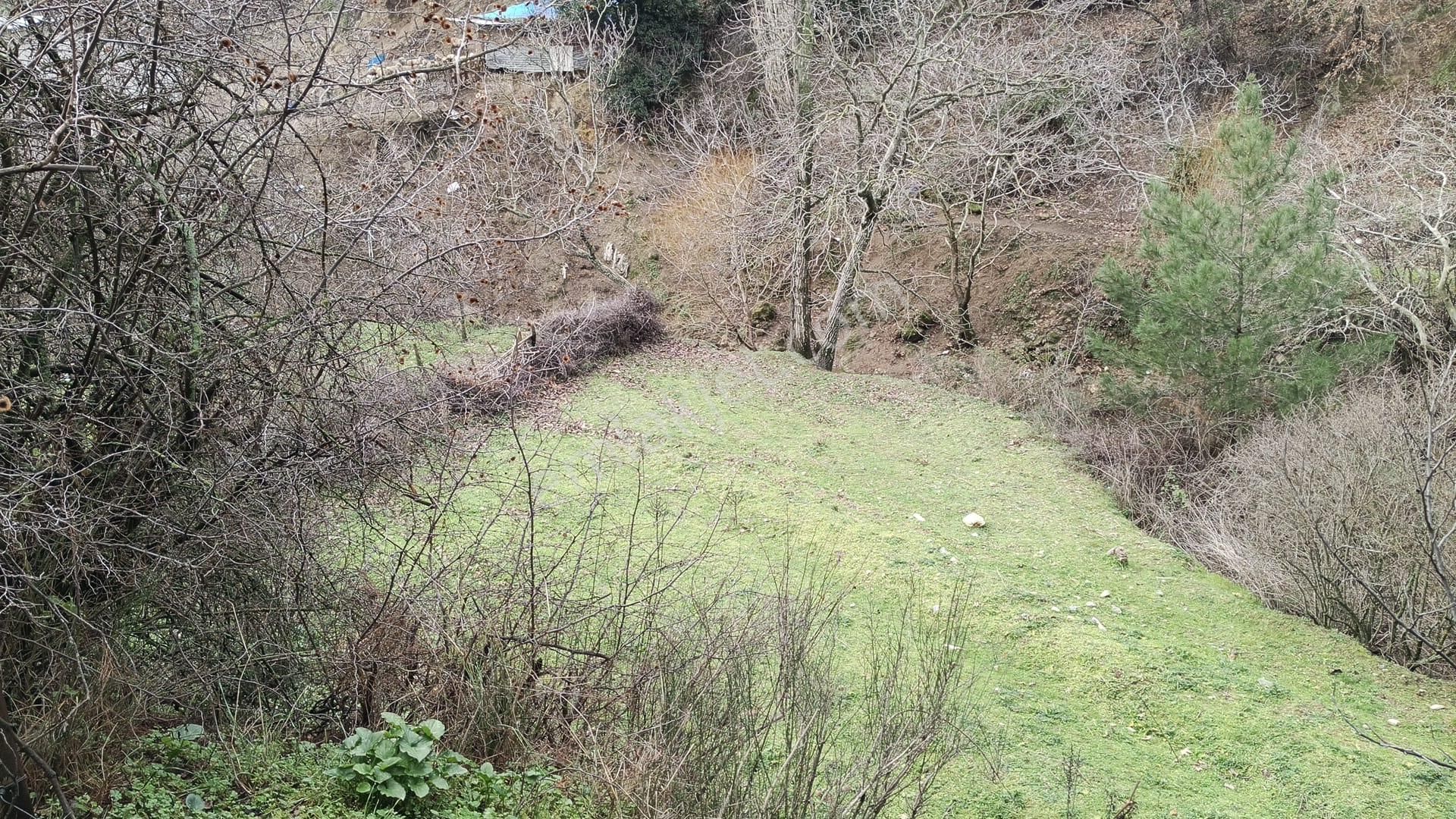 Dere Kenarı Köy İçi 321 M2 Bahçe - Görsel 4
