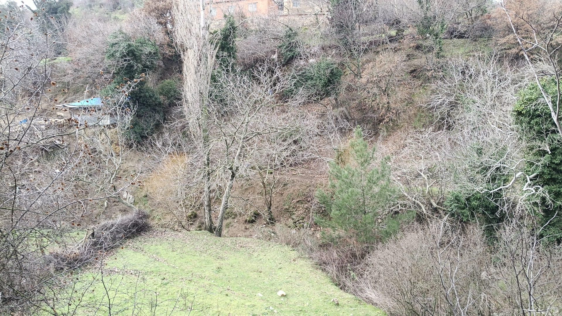 Dere Kenarı Köy İçi 321 M2 Bahçe - Görsel 9