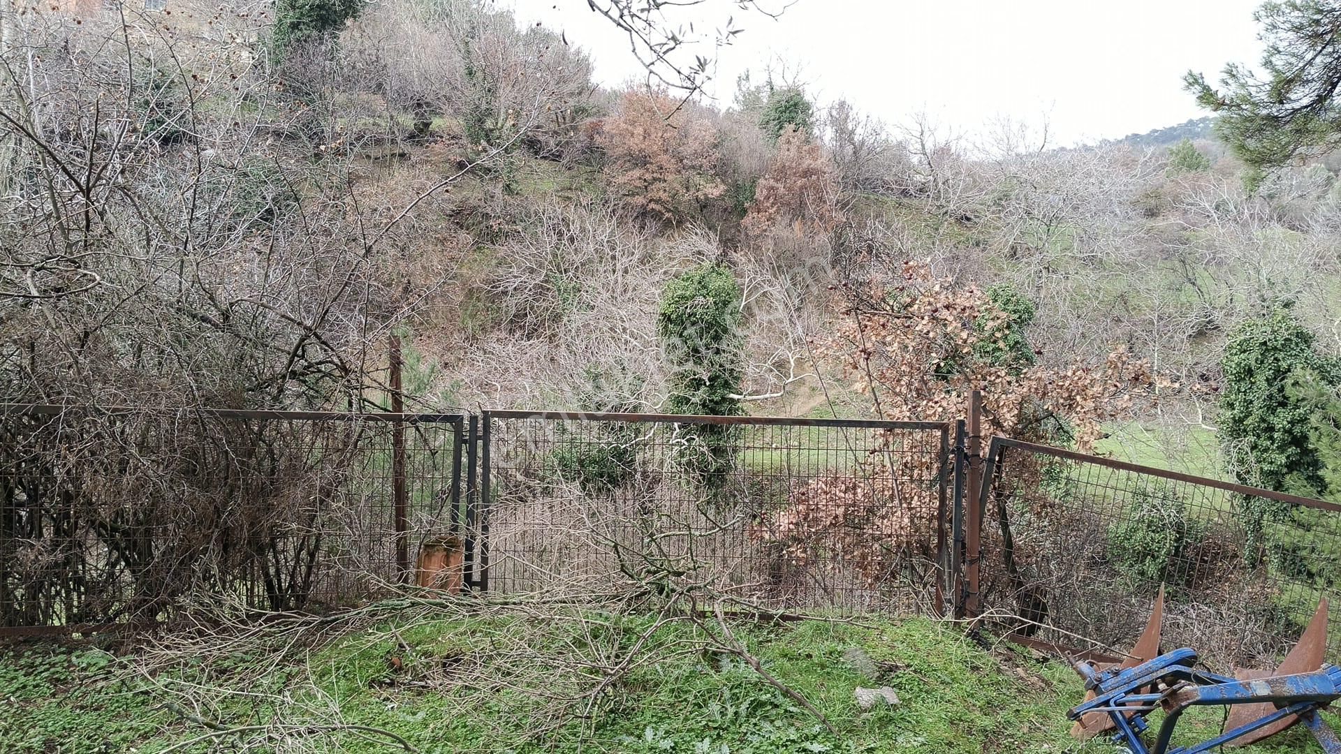 Dere Kenarı Köy İçi 321 M2 Bahçe - Görsel 11