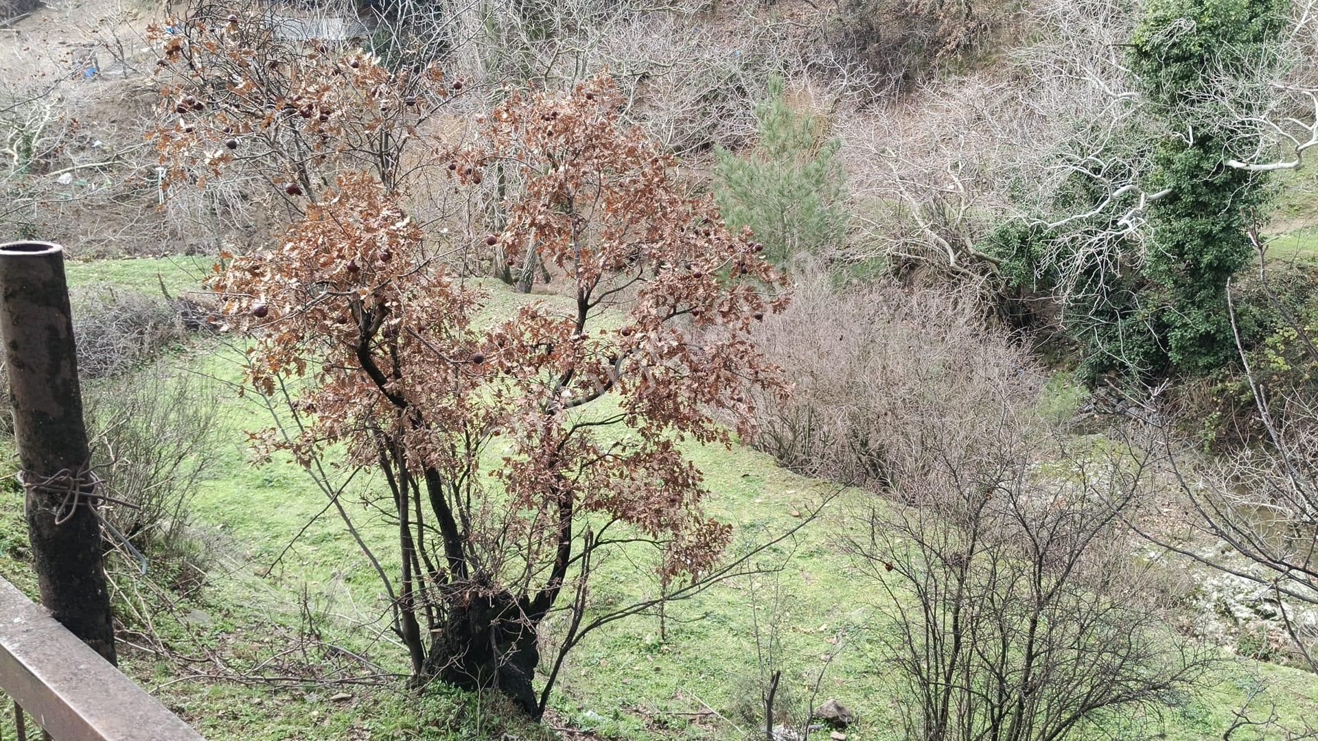 Dere Kenarı Köy İçi 321 M2 Bahçe - Görsel 8