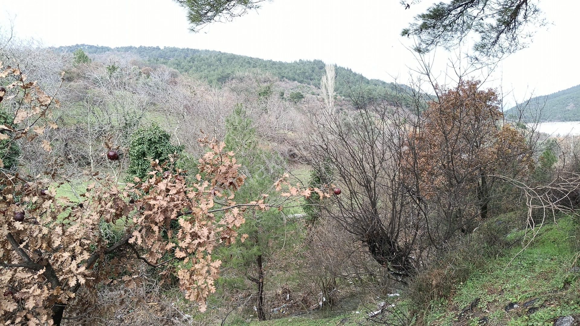 Dere Kenarı Köy İçi 321 M2 Bahçe - Görsel 10