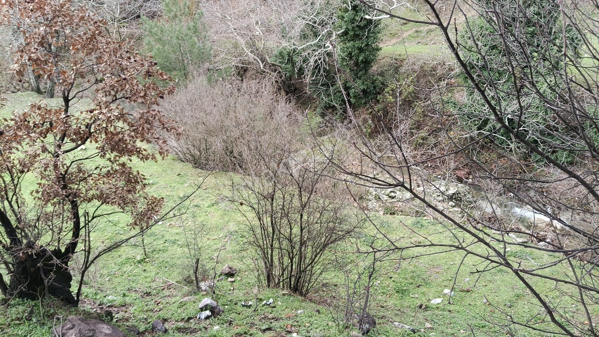 Dere Kenarı Köy İçi 321 M2 Bahçe - Görsel 5