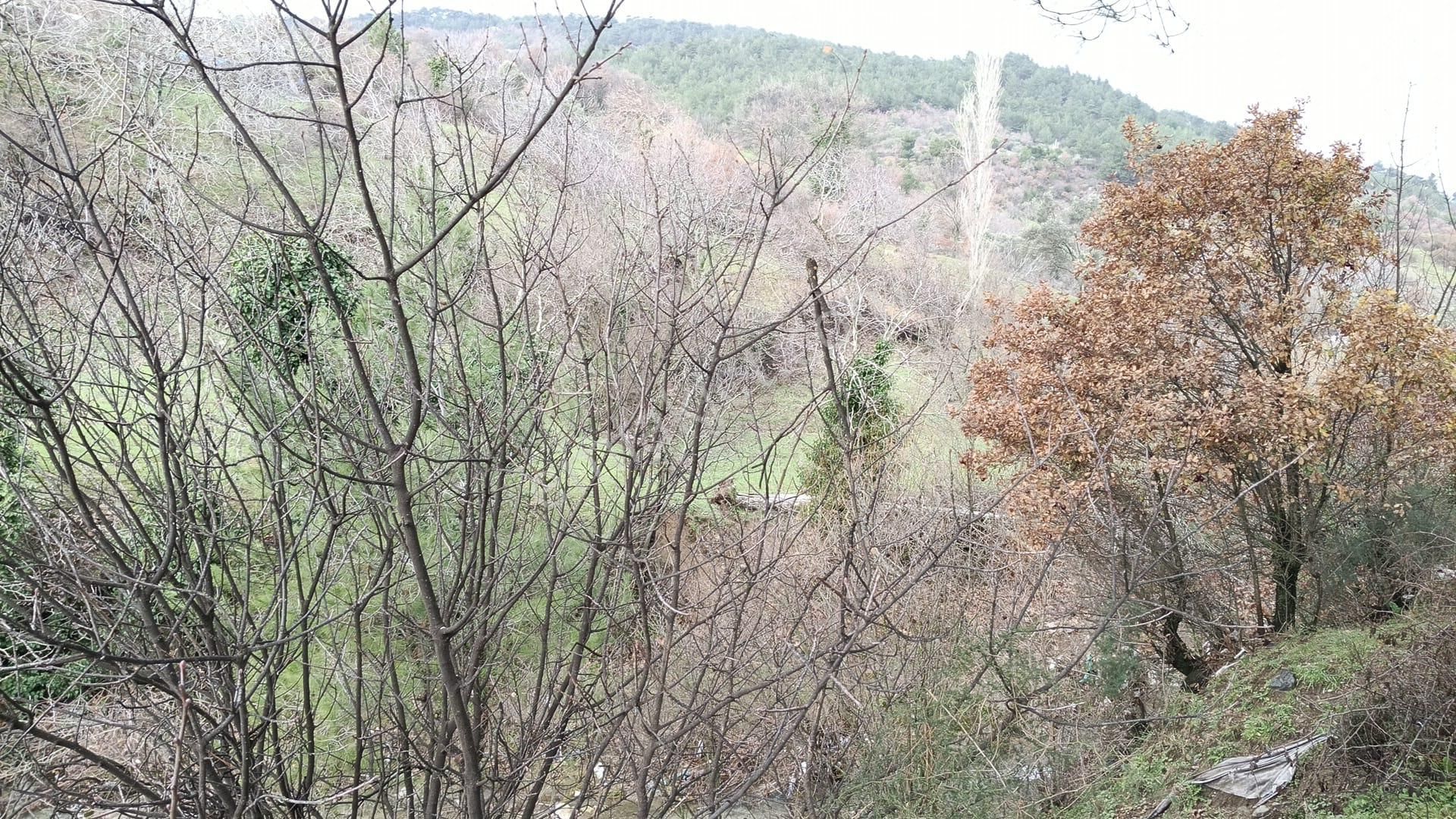 Dere Kenarı Köy İçi 321 M2 Bahçe - Görsel 3