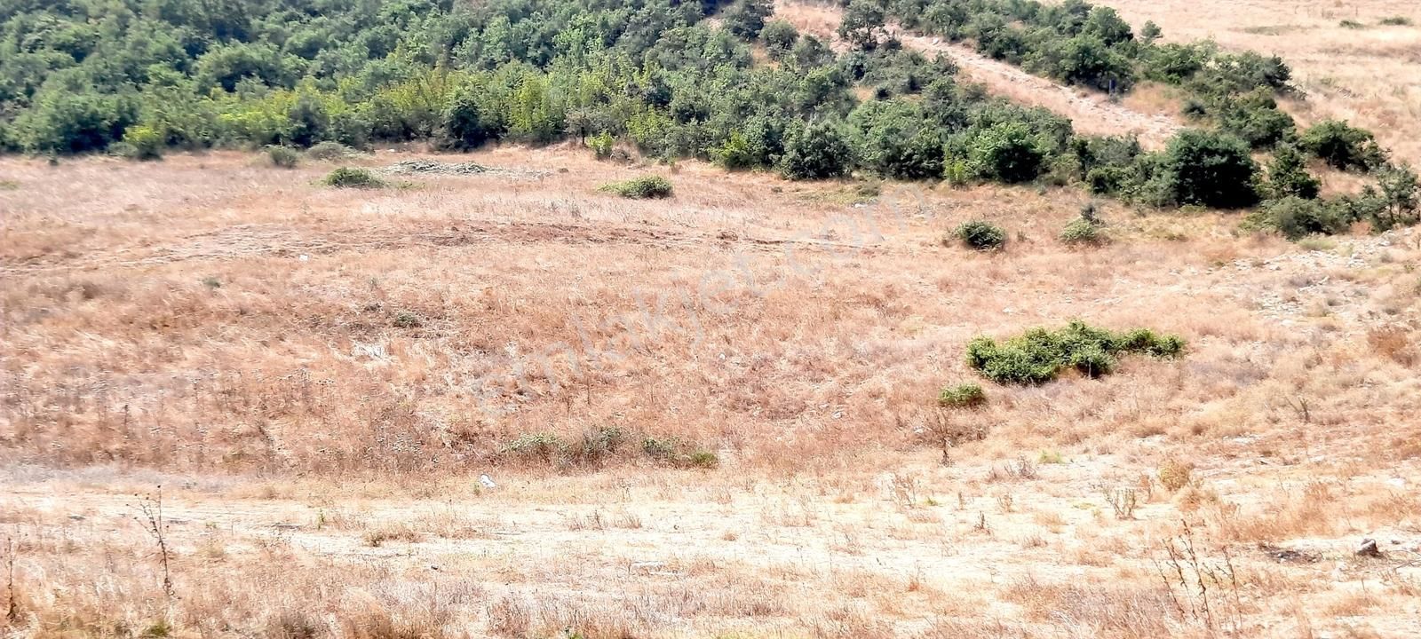 Netice Grup Gm.karacabey,subaşı Mh.de,resmi Yola Cephe,satılık - Görsel 12