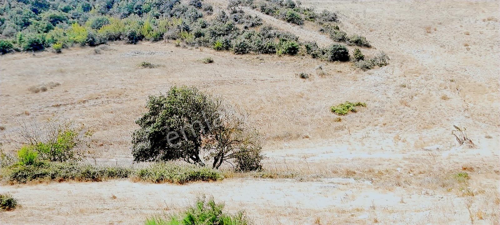 Netice Grup Gm.karacabey,subaşı Mh.de,resmi Yola Cephe,satılık - Görsel 19