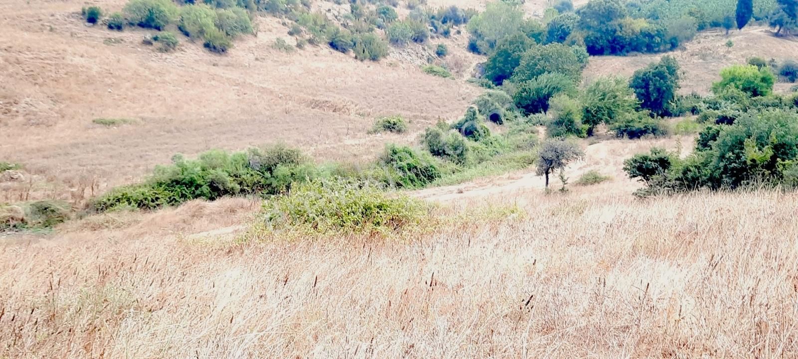 Netice Grup Gm.karacabey,subaşı Mh.de,resmi Yola Cephe,satılık - Görsel 4