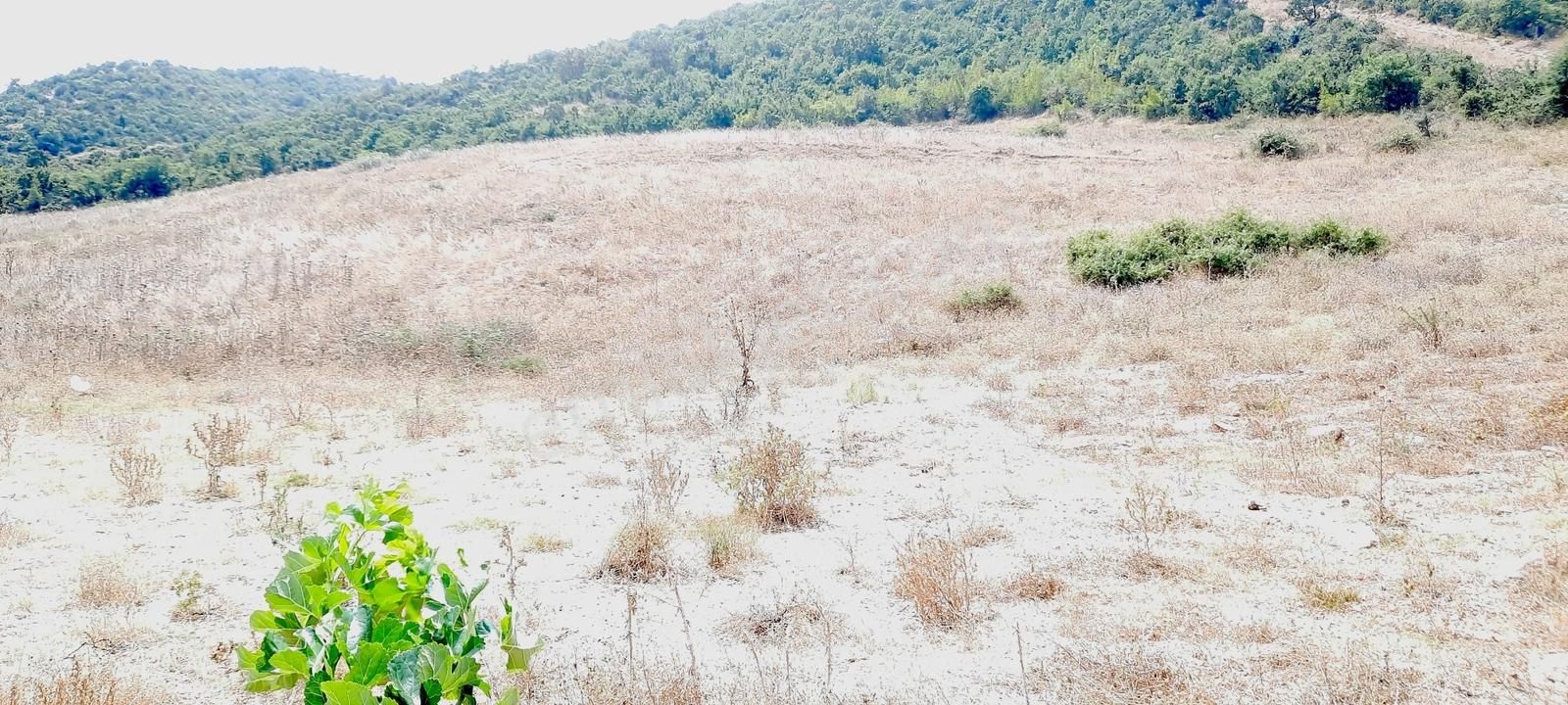 Netice Grup Gm.karacabey,subaşı Mh.de,resmi Yola Cephe,satılık - Görsel 2