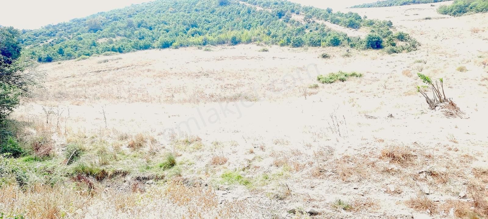Netice Grup Gm.karacabey,subaşı Mh.de,resmi Yola Cephe,satılık - Görsel 13