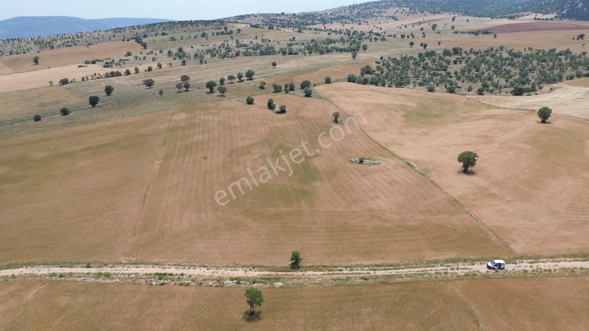 Konya / Akören / Alan Mahallesinde 20.055 M² Müstakil Tapulu Tarla - Görsel 3