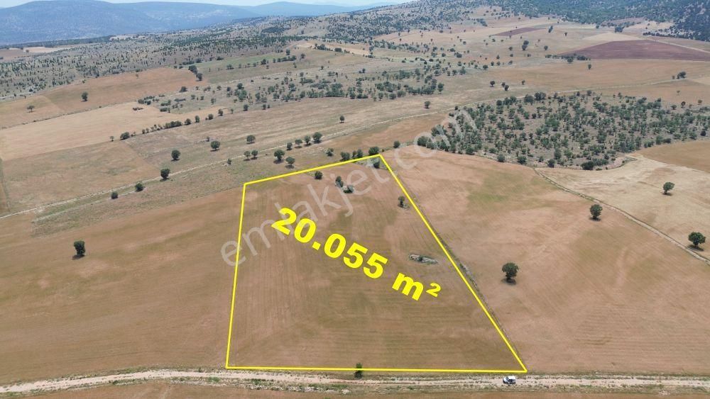 Konya / Akören / Alan Mahallesinde 20.055 M² Müstakil Tapulu Tarla - Görsel 4