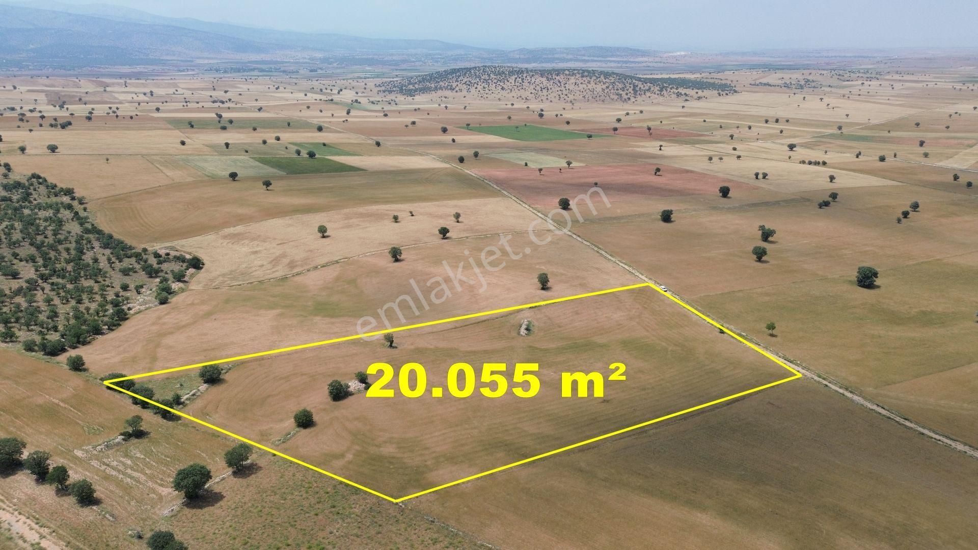 Konya / Akören / Alan Mahallesinde 20.055 M² Müstakil Tapulu Tarla - Görsel 2