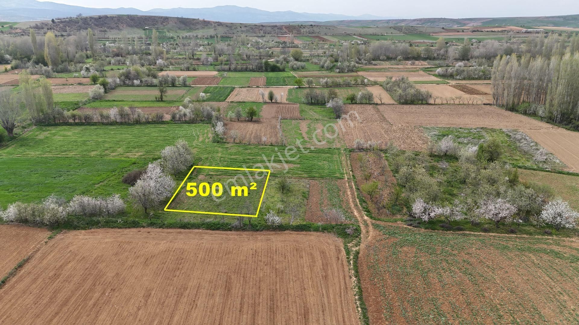 Konya / Doğanhisar / Zafer Mahallesinde 500 M² Müstakil Tapulu Tarla - Görsel 2