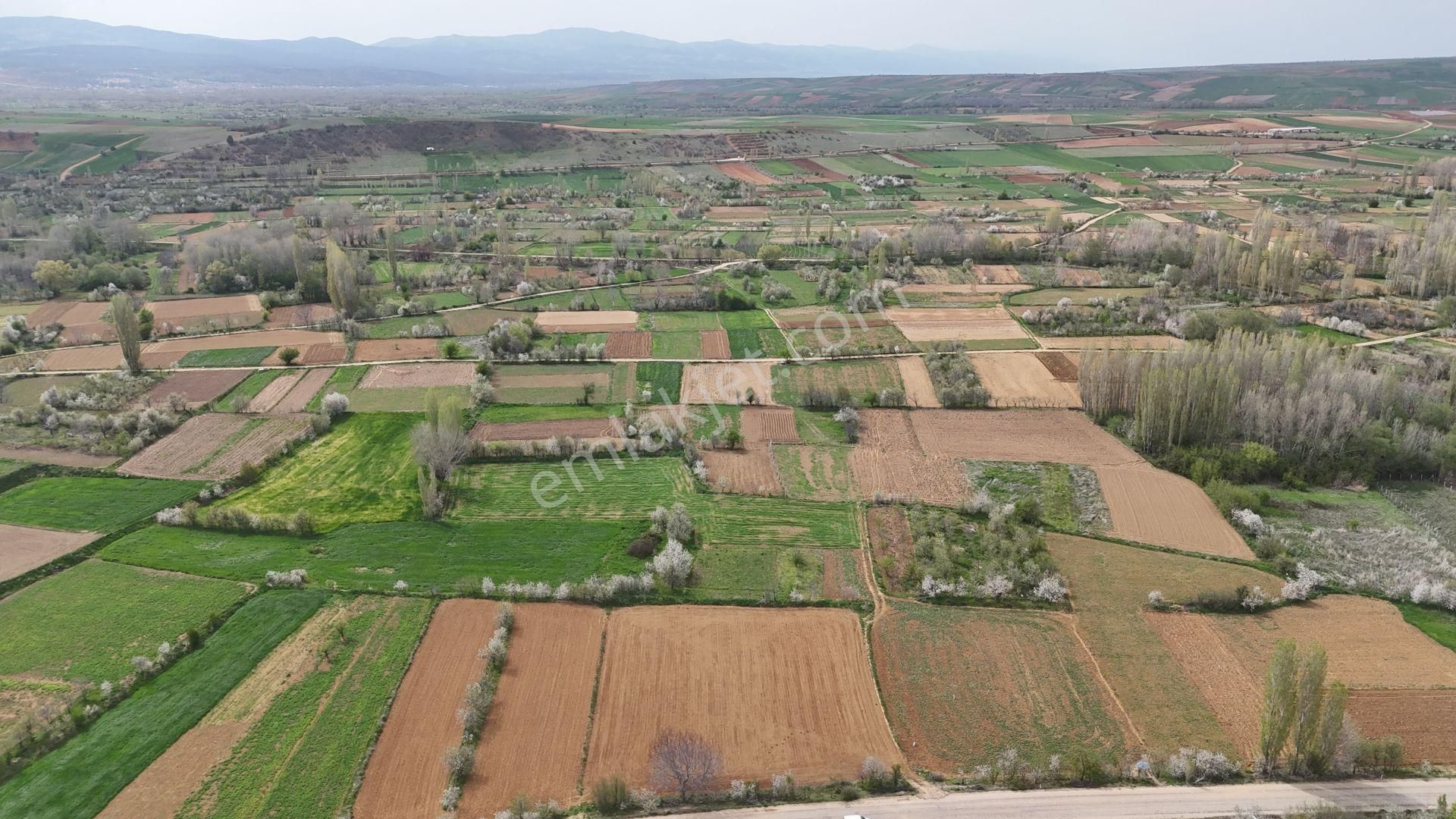 Konya / Doğanhisar / Zafer Mahallesinde 500 M² Müstakil Tapulu Tarla - Görsel 6