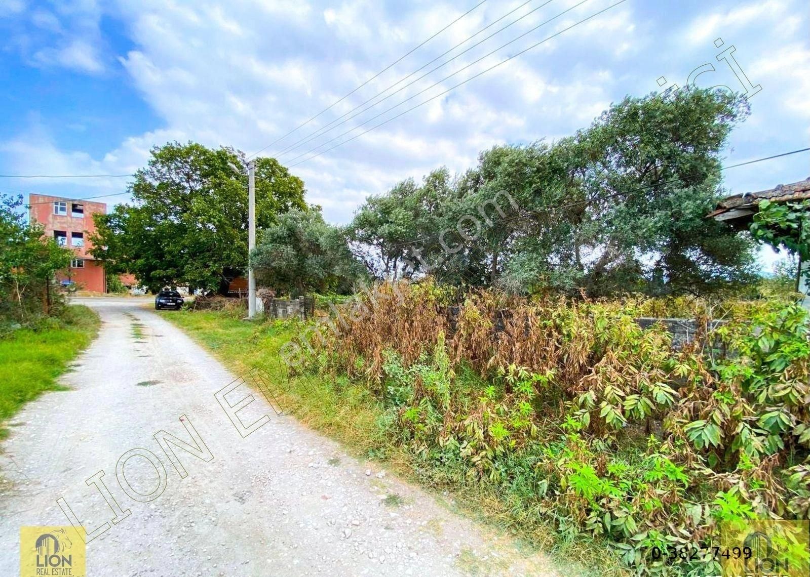 🟨⬛lıon Emlak'tan Balıkesir Manyas Eskiçatal'da Köy İçi,tek Tapu,1.100 M² Satılık Arazi⬛🟨 - Görsel 11