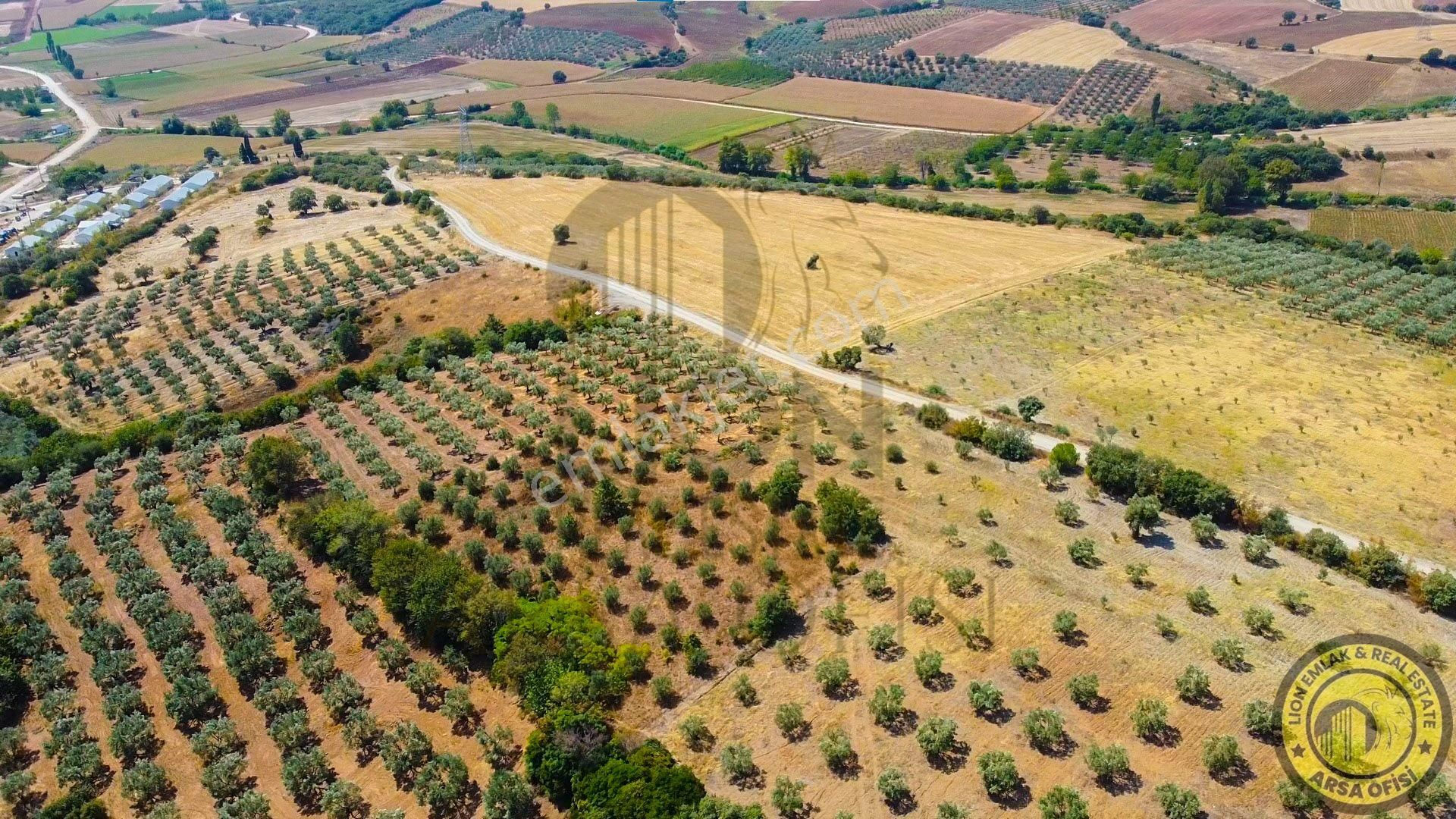 🟨⬛lıon Emlak'tan Bursa Karacabey Yeşldere'de İçerisinde Ağaçlar Bulunan Satılık 3.000m² Tarla⬛🟨 - Görsel 11