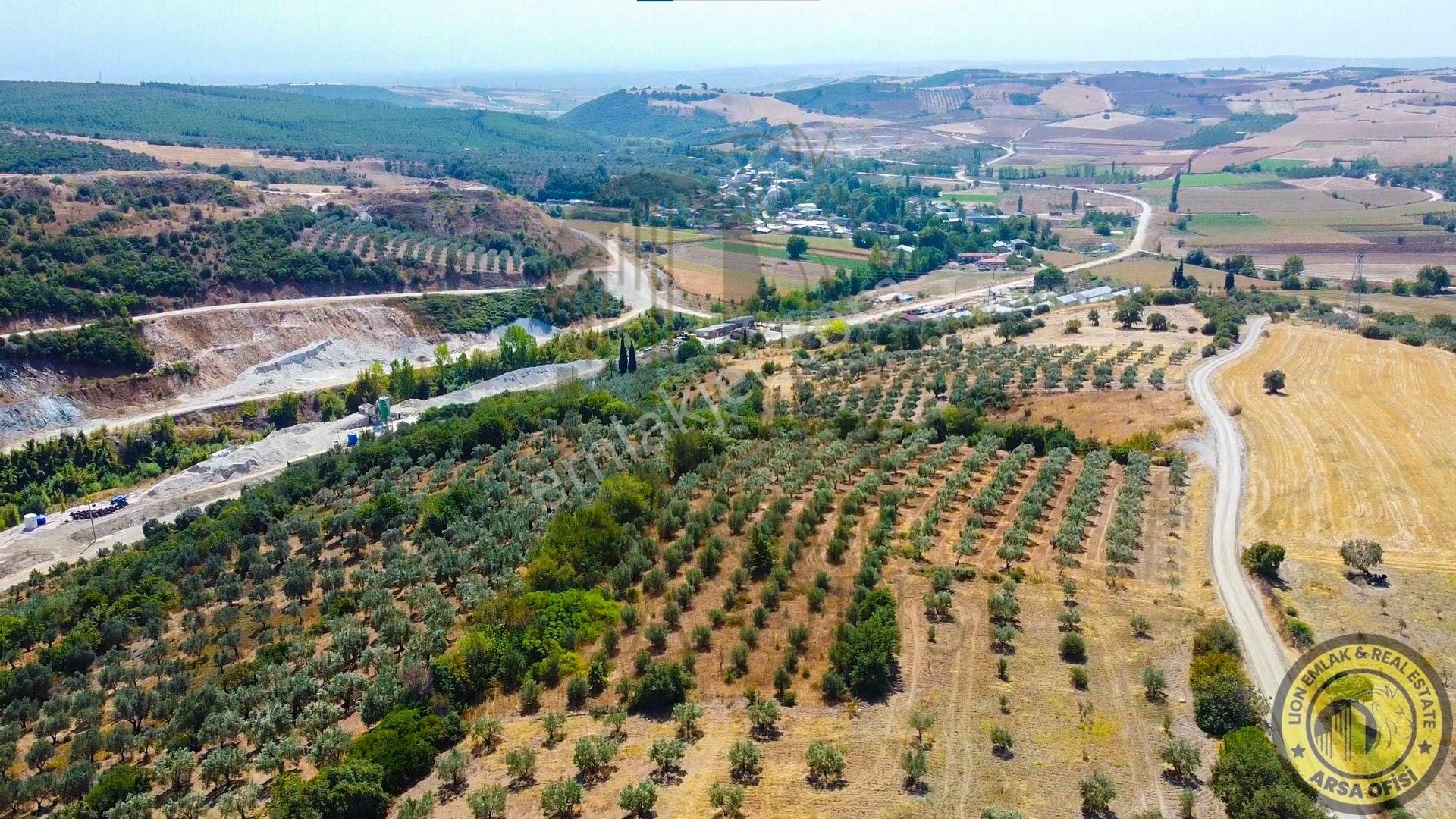 🟨⬛lıon Emlak'tan Bursa Karacabey Yeşldere'de İçerisinde Ağaçlar Bulunan Satılık 3.000m² Tarla⬛🟨 - Görsel 14