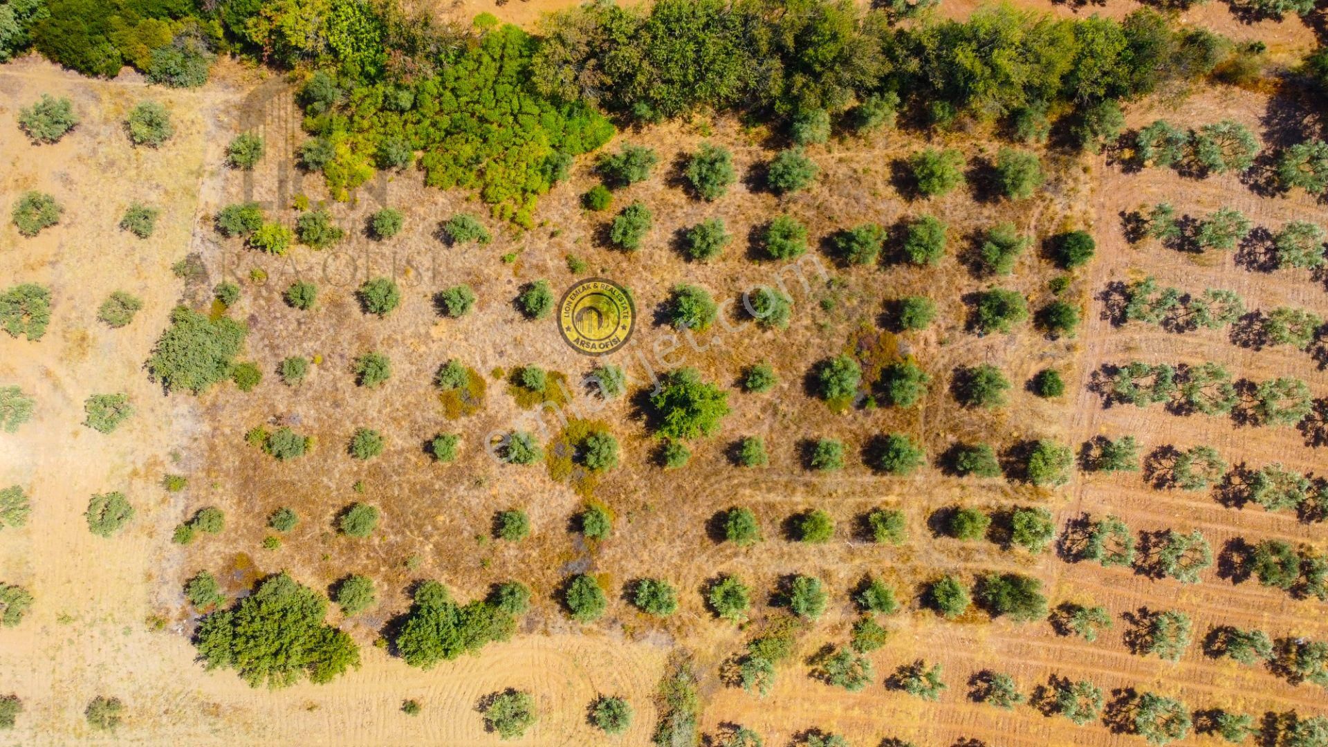 🟨⬛lıon Emlak'tan Bursa Karacabey Yeşldere'de İçerisinde Ağaçlar Bulunan Satılık 3.000m² Tarla⬛🟨 - Görsel 20