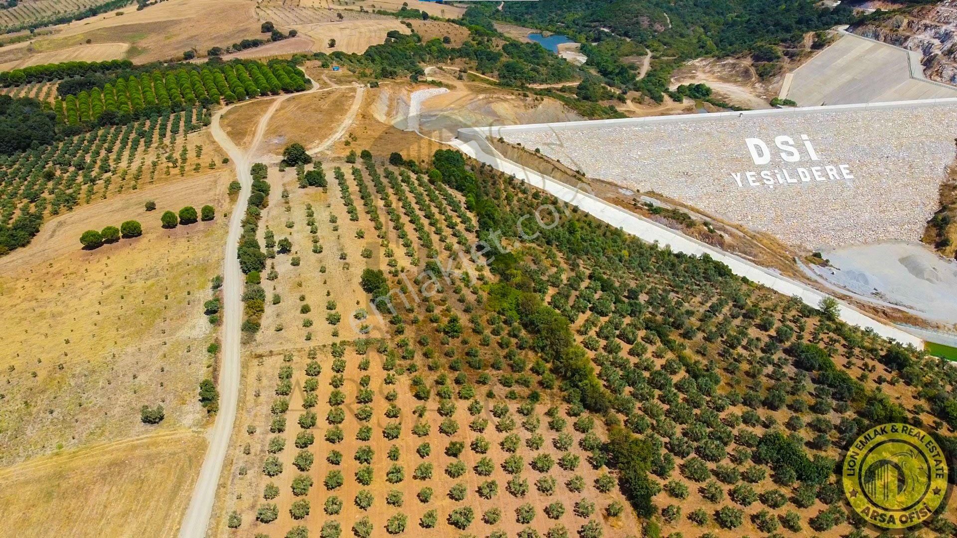 🟨⬛lıon Emlak'tan Bursa Karacabey Yeşldere'de İçerisinde Ağaçlar Bulunan Satılık 3.000m² Tarla⬛🟨 - Görsel 3