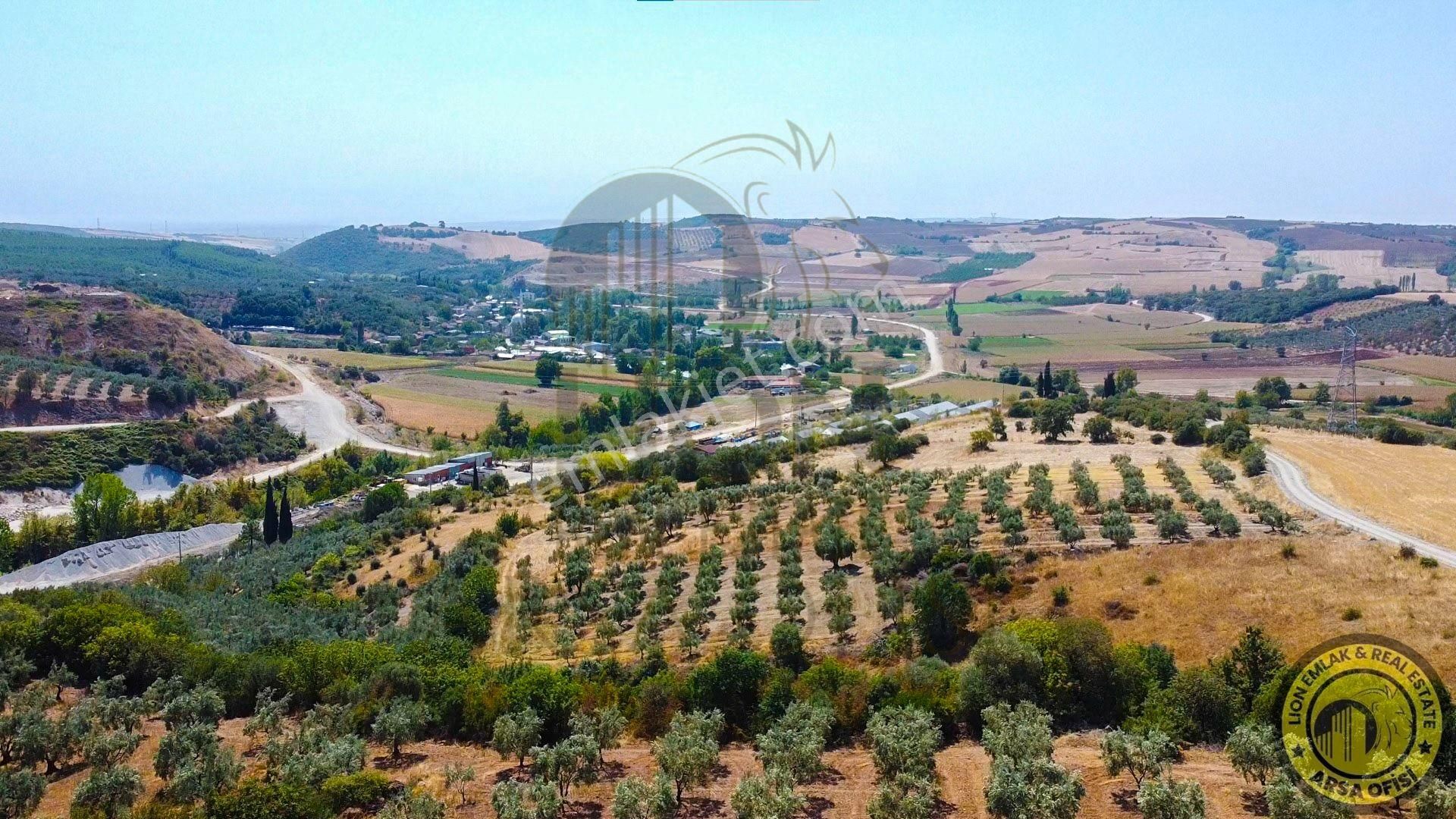 🟨⬛lıon Emlak'tan Bursa Karacabey Yeşldere'de İçerisinde Ağaçlar Bulunan Satılık 3.000m² Tarla⬛🟨 - Görsel 16
