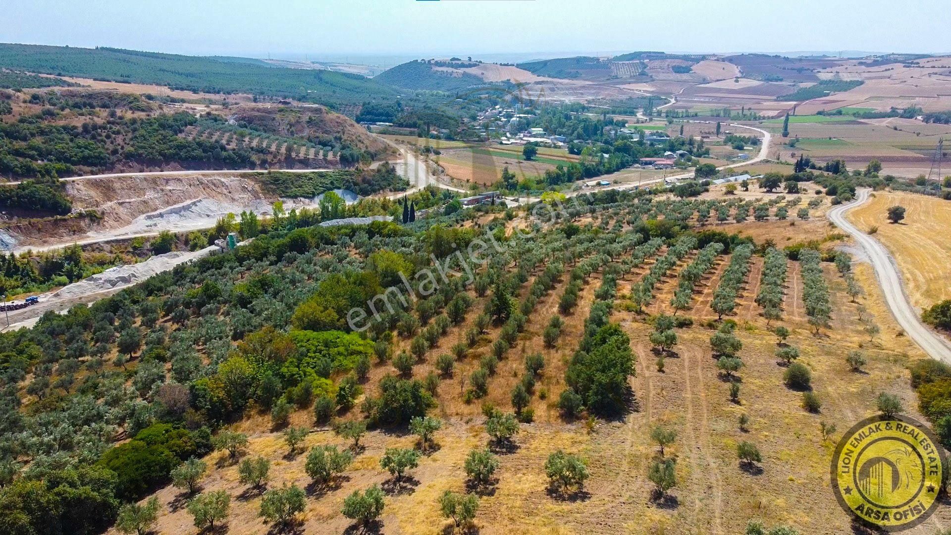 🟨⬛lıon Emlak'tan Bursa Karacabey Yeşldere'de İçerisinde Ağaçlar Bulunan Satılık 3.000m² Tarla⬛🟨 - Görsel 15