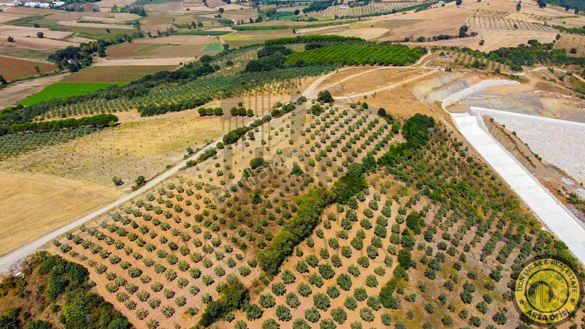 🟨⬛lıon Emlak'tan Bursa Karacabey Yeşldere'de İçerisinde Ağaçlar Bulunan Satılık 3.000m² Tarla⬛🟨 - Görsel 6