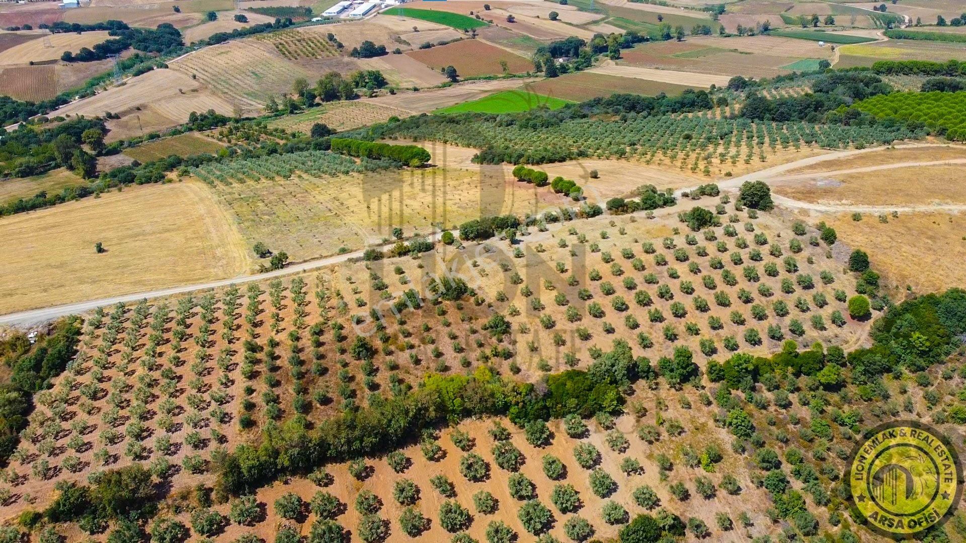 🟨⬛lıon Emlak'tan Bursa Karacabey Yeşldere'de İçerisinde Ağaçlar Bulunan Satılık 3.000m² Tarla⬛🟨 - Görsel 8
