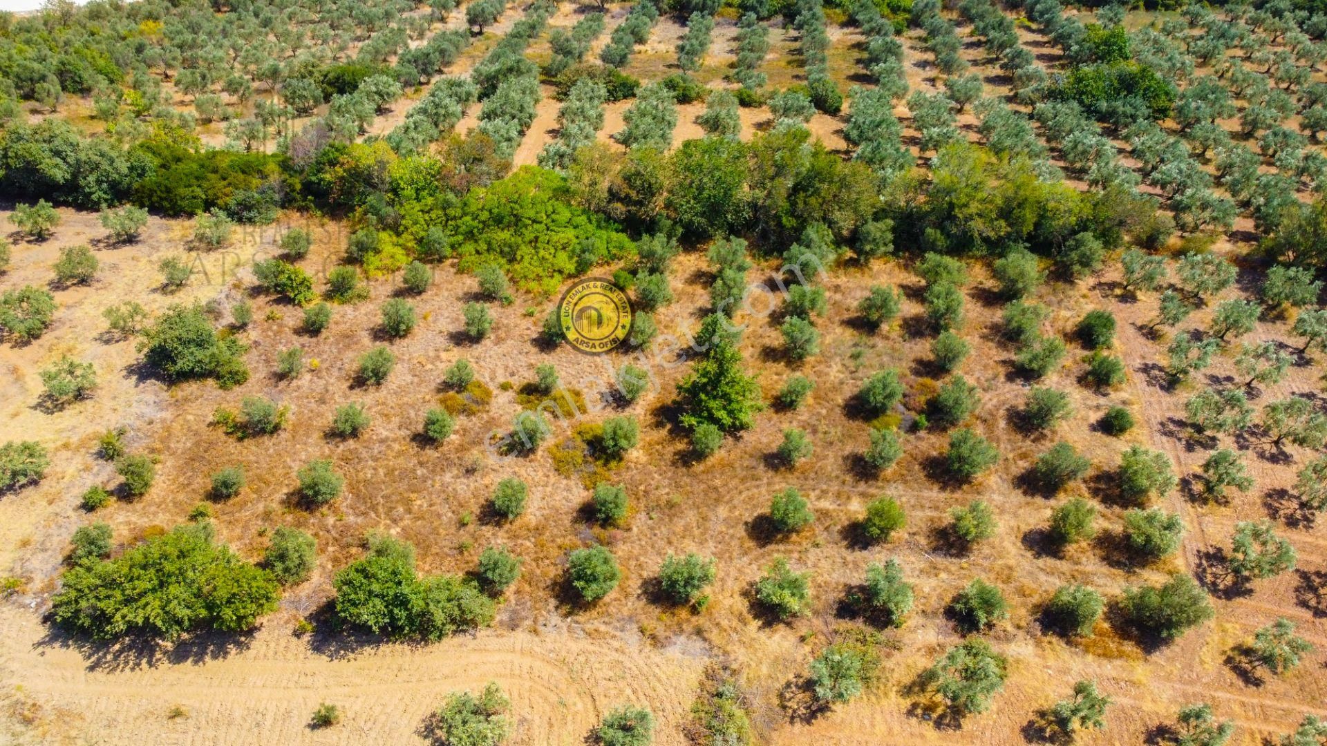 🟨⬛lıon Emlak'tan Bursa Karacabey Yeşldere'de İçerisinde Ağaçlar Bulunan Satılık 3.000m² Tarla⬛🟨 - Görsel 19