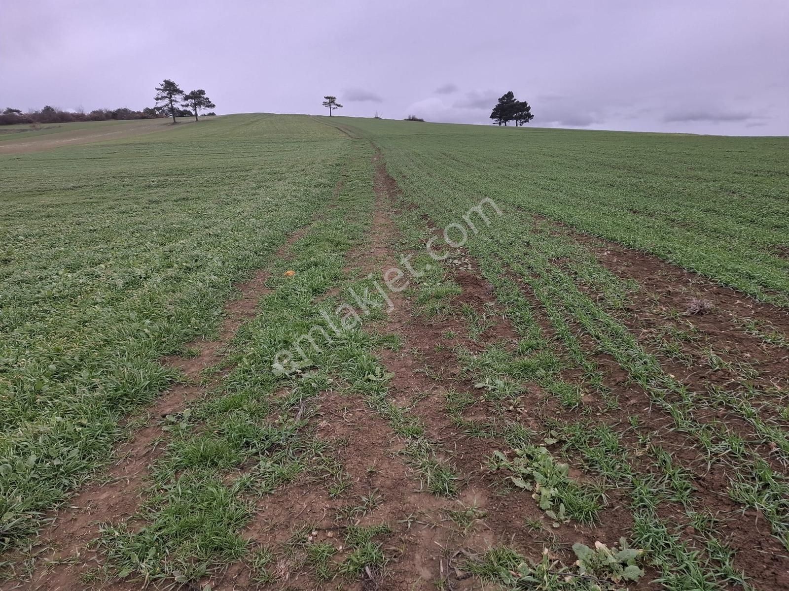 Geyve Halidiyede Kaçırılmayacak Yatırım Arazi