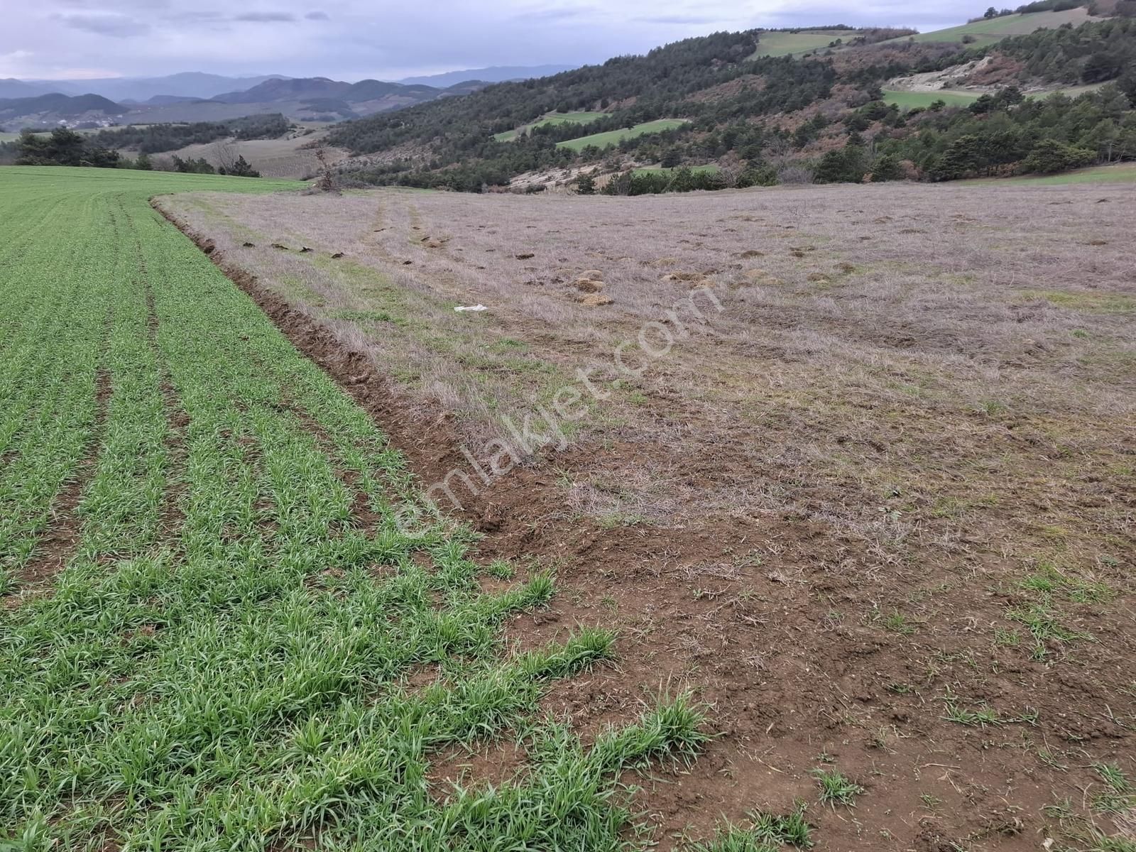 Geyve Halidiyede Kaçırılmayacak Yatırım Arazi - Görsel 7