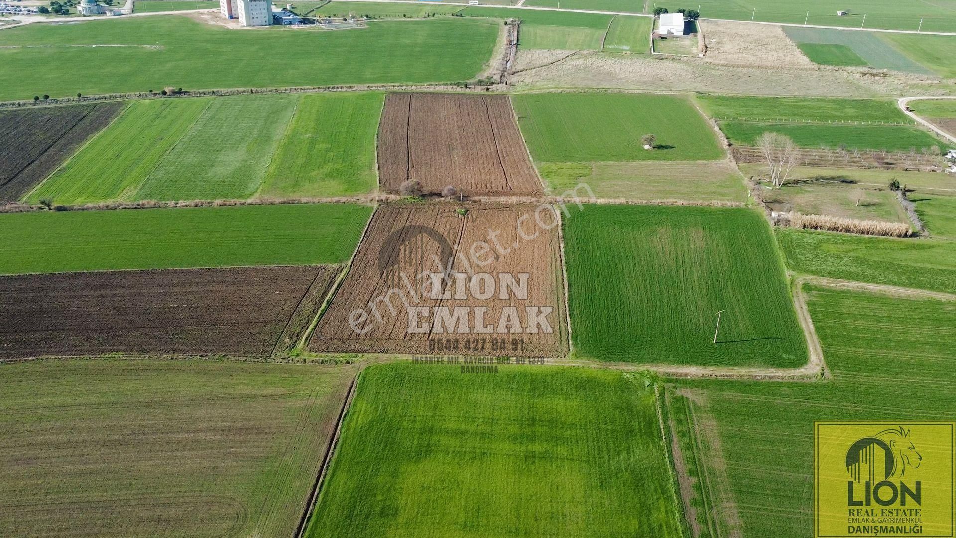 Lıon Emlak'tan Ömerli'de Sanayi Ve Cezaevi Yakını Satılık 11 Dönüm Tarla - Görsel 8