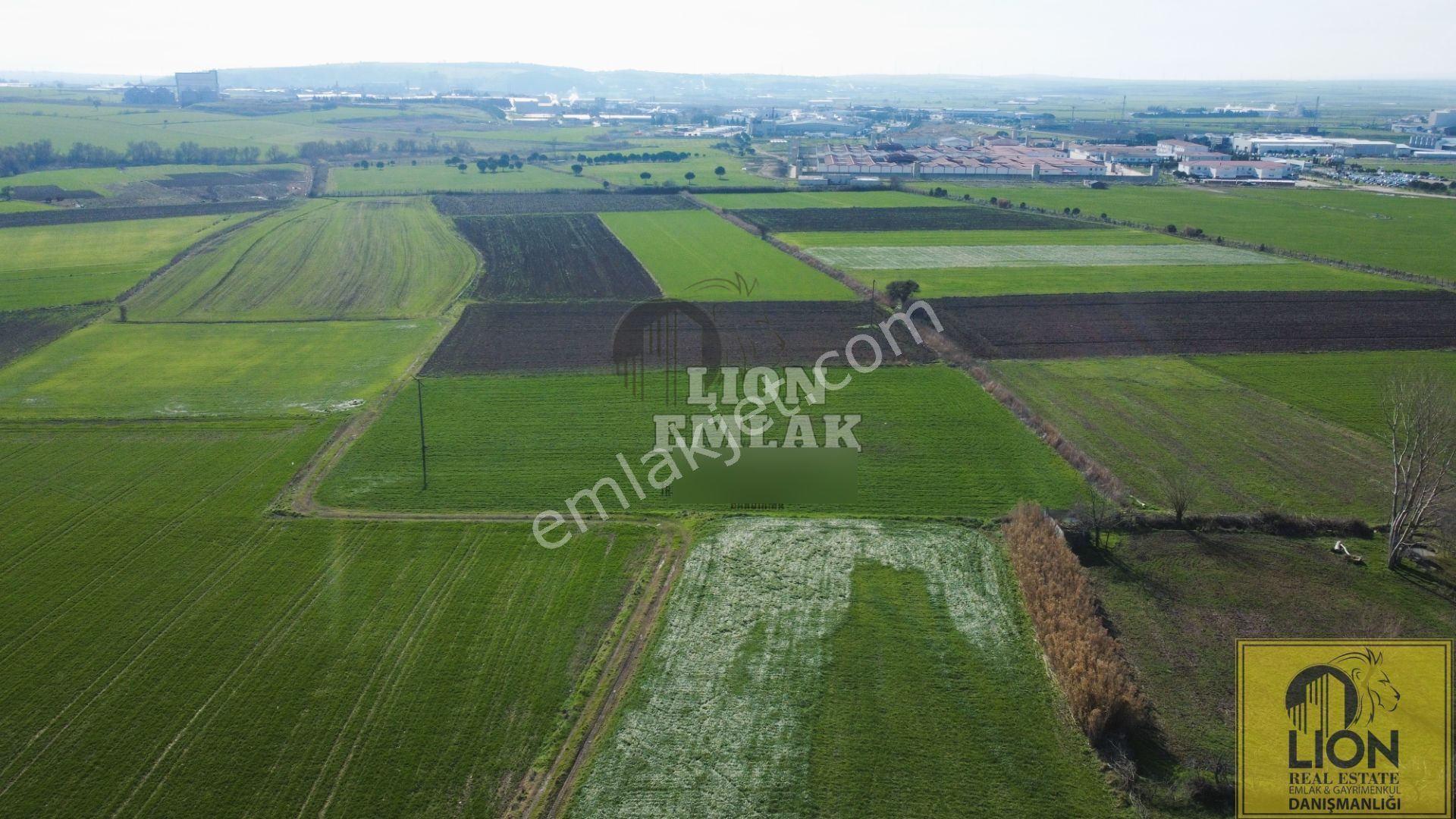 Lıon Emlak'tan Ömerli'de Sanayi Ve Cezaevi Yakını Satılık 11 Dönüm Tarla - Görsel 3