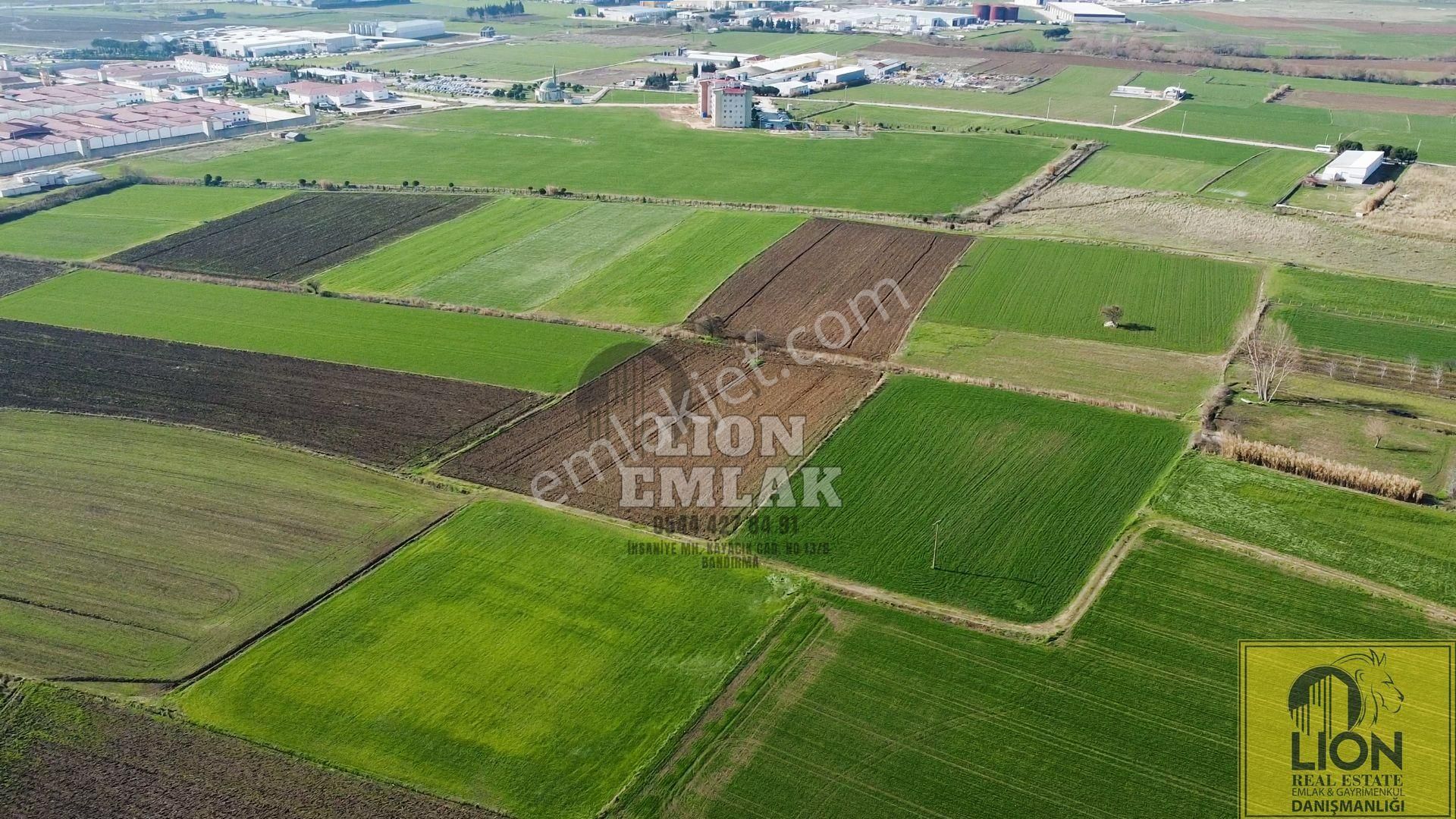 Lıon Emlak'tan Ömerli'de Sanayi Ve Cezaevi Yakını Satılık 11 Dönüm Tarla - Görsel 7