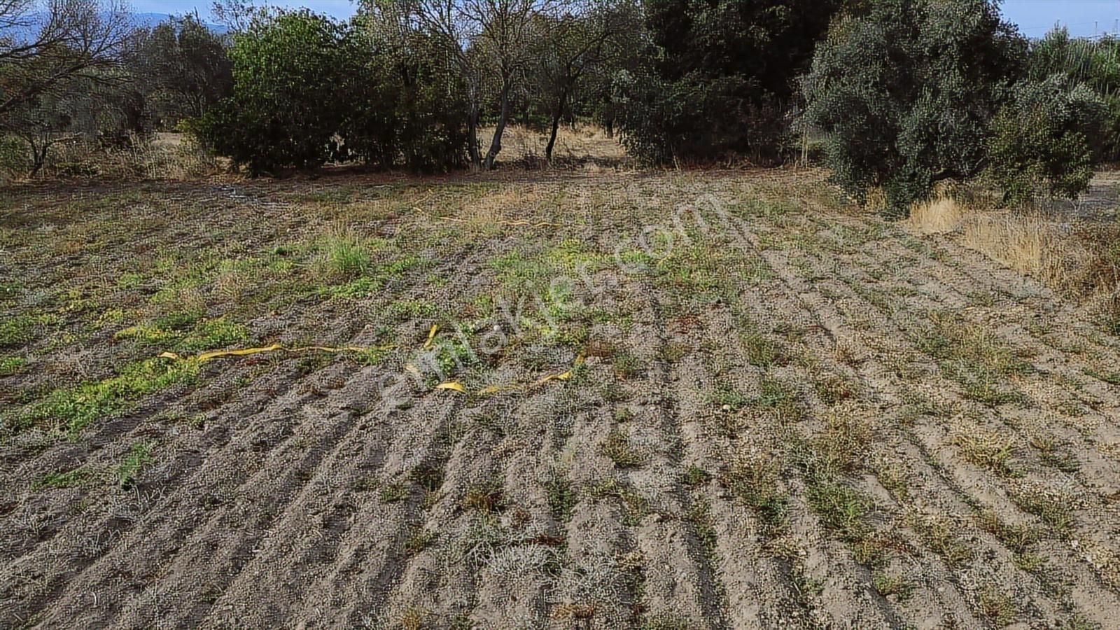 Bergama Bağlar Mevkii Çevre Yoluna 750 Mt Mesafede Satılık Tarla - Görsel 29