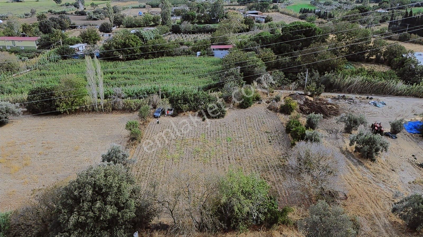 Bergama Bağlar Mevkii Çevre Yoluna 750 Mt Mesafede Satılık Tarla - Görsel 5