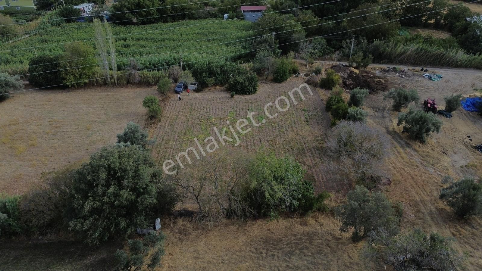 Bergama Bağlar Mevkii Çevre Yoluna 750 Mt Mesafede Satılık Tarla - Görsel 4