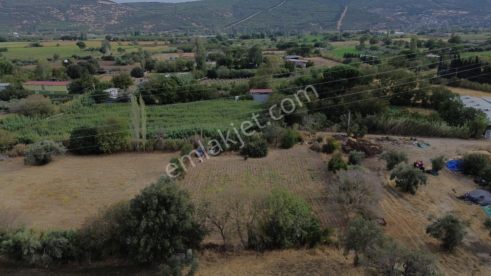 Bergama Bağlar Mevkii Çevre Yoluna 750 Mt Mesafede Satılık Tarla - Görsel 8