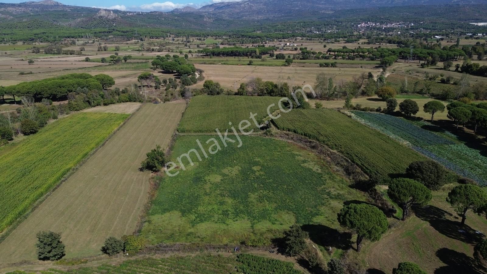 Bergama Kozak Yaylası Karaveliler Mah.de 10.460 M2 Satılık Tarla - Görsel 14