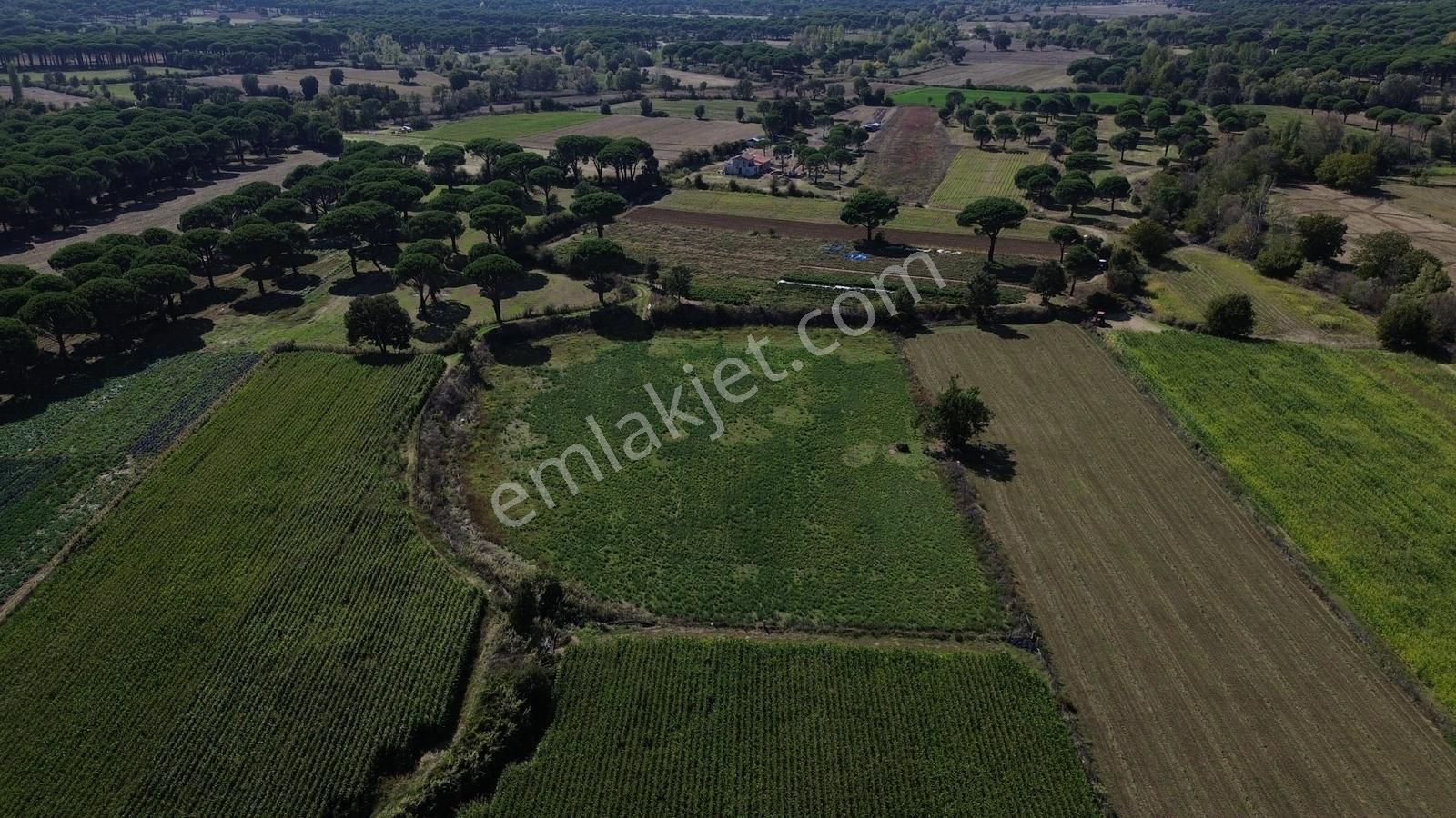 Bergama Kozak Yaylası Karaveliler Mah.de 10.460 M2 Satılık Tarla - Görsel 25