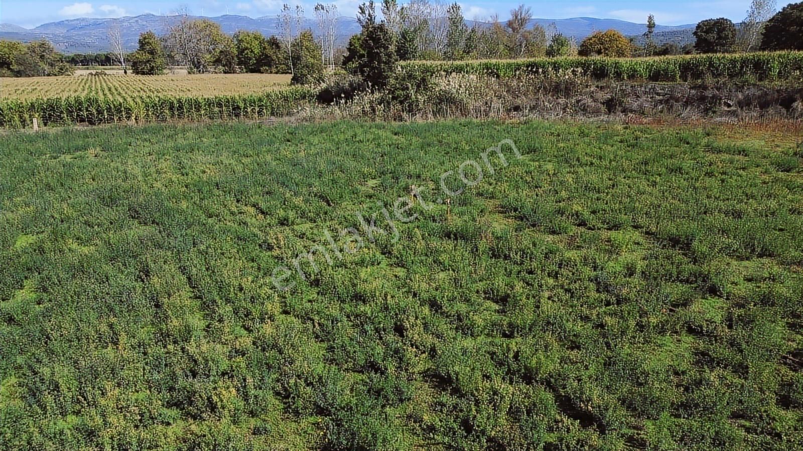 Bergama Kozak Yaylası Karaveliler Mah.de 10.460 M2 Satılık Tarla - Görsel 20