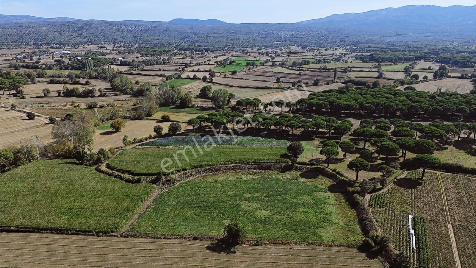 Bergama Kozak Yaylası Karaveliler Mah.de 10.460 M2 Satılık Tarla - Görsel 21