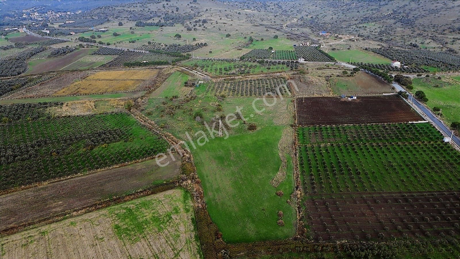 Dikili Gökçeağıl Mah. Deniz Manzaralı 34.832 M2 Satılık Tarla - Görsel 22