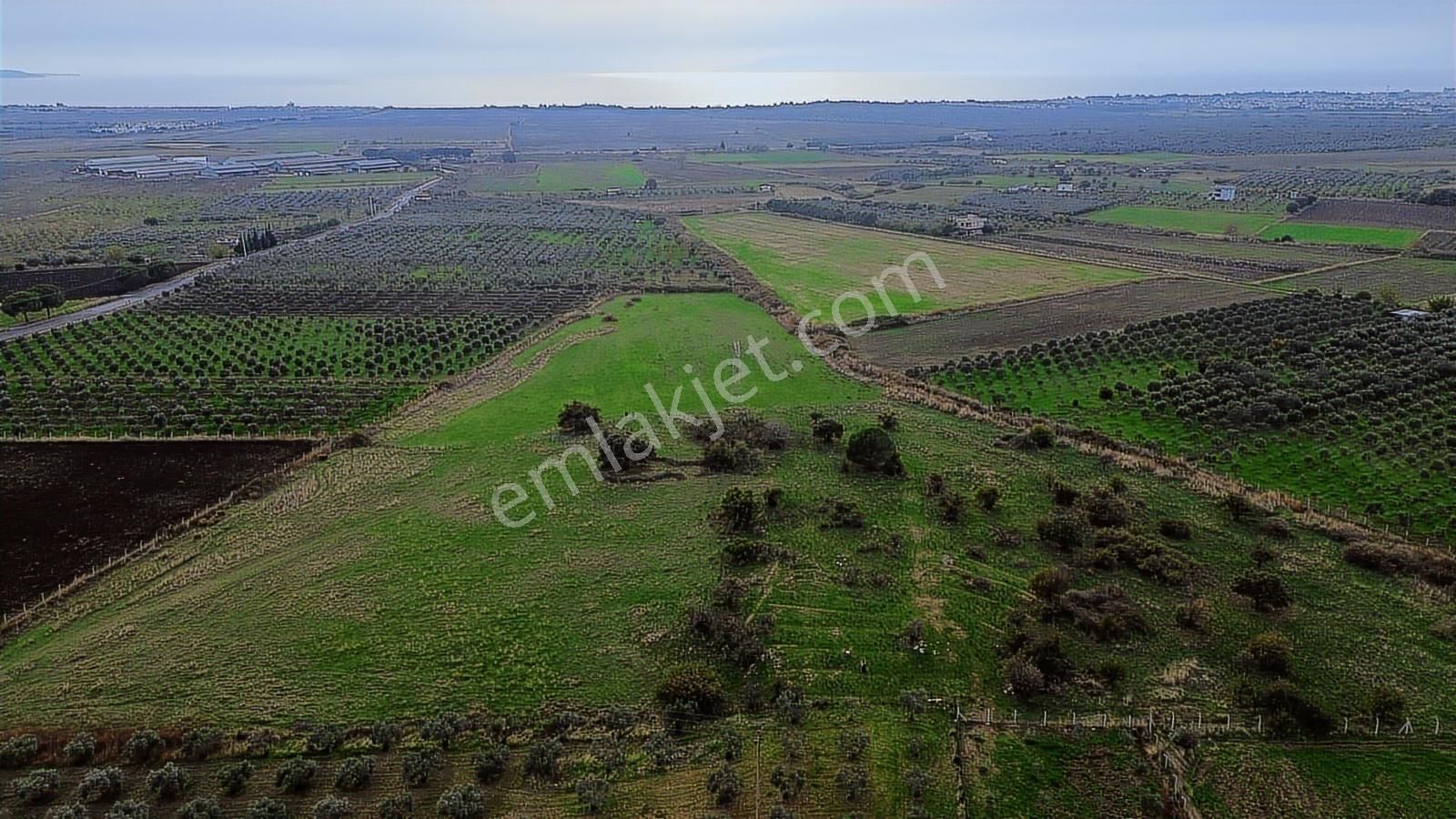 Dikili Gökçeağıl Mah. Deniz Manzaralı 34.832 M2 Satılık Tarla - Görsel 19