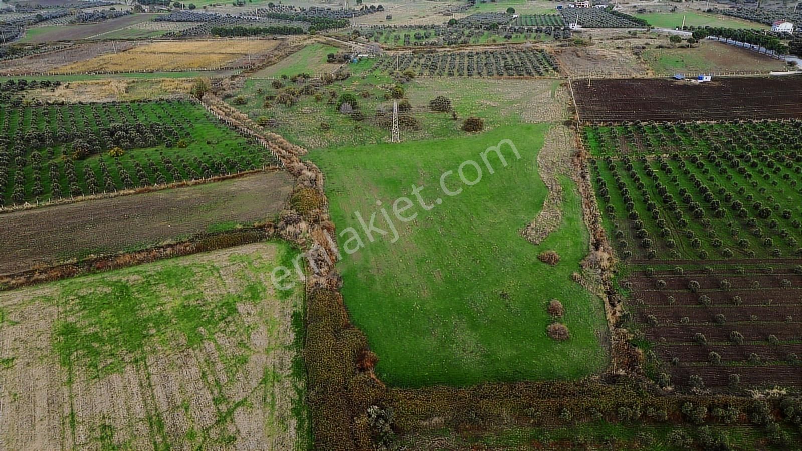Dikili Gökçeağıl Mah. Deniz Manzaralı 34.832 M2 Satılık Tarla - Görsel 4