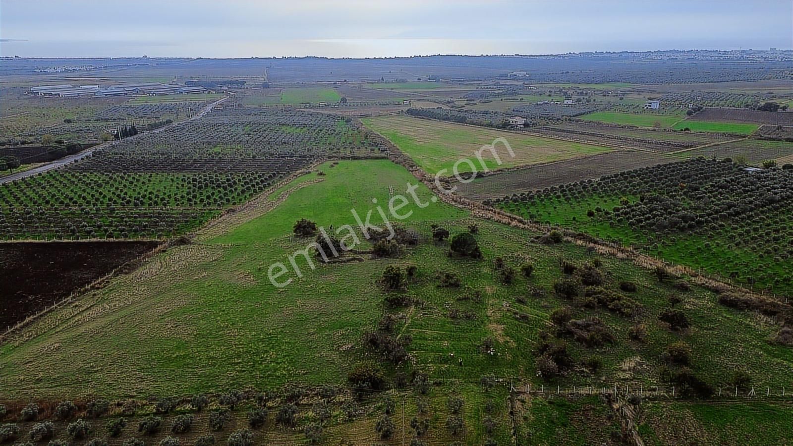 Dikili Gökçeağıl Mah. Deniz Manzaralı 34.832 M2 Satılık Tarla - Görsel 21